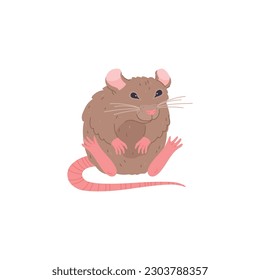 Cute sitting rat character cartoon flat cartoon vector illustration isolated on white background. Rat animal character with funny friendly expression.