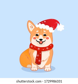 Cuto sentado sonriendo perro corgi de Navidad con sombrero de Santa y ilustración vectorial de bufanda. Huella de cachorros Kawai corgi. Aislado sobre fondo azul.