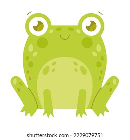 Cute sitting toad or frog character flat vector illustration. Funny drawings of green amphibian isolated on white background. Nature concept