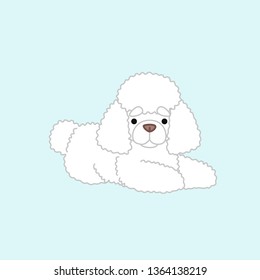 Cute Sitting White Coat Poodle Cartoon Vector Illustration