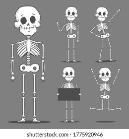 Cute skeletons vector cartoon characters set isolated on background.
