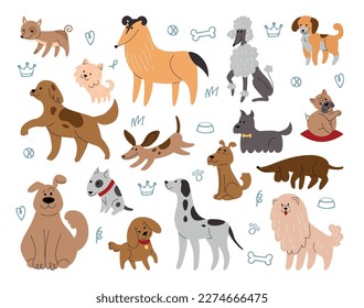 Cute sketch dogs. Pretty domestic animals. Fun pet characters. Happy portraits for wallpaper. Canine breeds. Poodle and dachshund. Adorable mammals set. Vector tidy isolated illustration