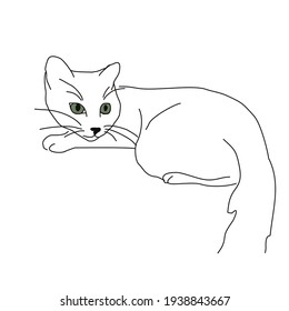Cute sketch drawing of a lying cat. Linear drawing of a pet. 