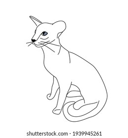 Cat Line Drawing Images, Stock Photos & Vectors | Shutterstock