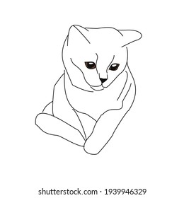 Cute sketch drawing of a sitting cat. Linear drawing of a pet.