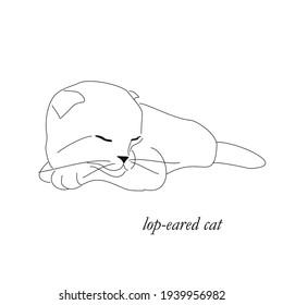 Dibujo de dibujo de un gato doblado dormido. Dibujo lineal de una mascota.