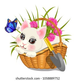 Cute sketch of poster with fluffy animated kitten sitting in wicker basket with pink clover and butterfly with blue wings isolated on white background. Vector cartoon close-up illustration.