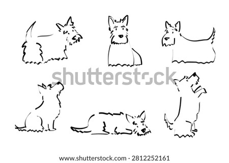 A cute sketch set with Scottish Terriers. Collection of icons with dogs standing in different poses - standing, sitting, begging, sleeping, looking back.