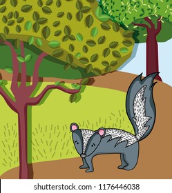 Cute skunk animal