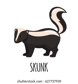 Cute Skunk in flat style isolated on white background. Vector illustration. Forest animal. Cartoon skunk.