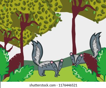 Cute skunks animal