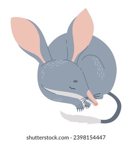 Cute sleeping bilby animal. Australian wild mammal. Vector illustration in flat style.