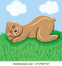 Cute sleeping brown bear animal is sleeping on the grass hill 