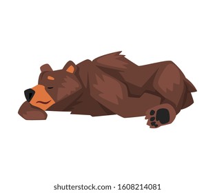 Cute Sleeping Brown Grizzly Bear, Wild Animal Character Cartoon Vector illustration