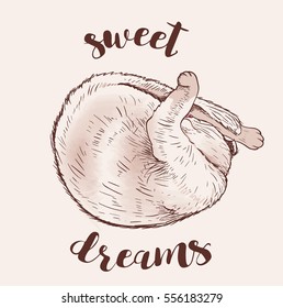 Cute sleeping cat. Hand drawn vector illustration.