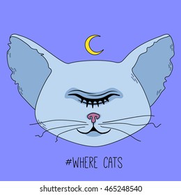 Cute sleeping cat head with one closed eye and moon on colorful background. Vector flat illustration.