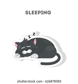 Cute sleeping cat. Isolated cute sticker on white background.