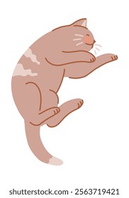 Cute sleeping cat. Pet animal, kitten cartoon clip art. Flat vector illustration isolated on white.