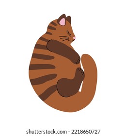 Buen gato dormido. Gatito de mascotas por atrapar ratones. Un mamífero carnívoro domesticado con piel suave, hocico corto y garras retráctiles. Ilustración vectorial.