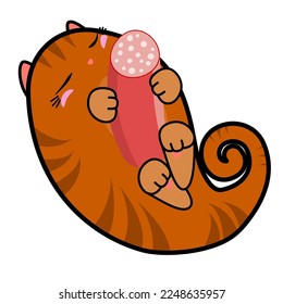 Cute sleeping cat with sausage, hand drawn paisley shape, doodle cartoon collection 