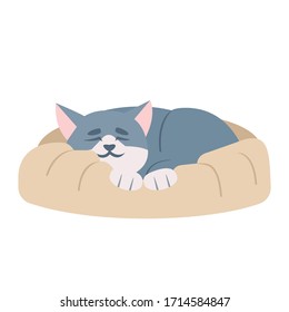 Cute sleeping cat semi flat RGB color vector illustration. Adorable kitten taking nap, snoozing kitty isolated cartoon character on white background. Feline hygiene. Domestic animal lying on pet bed