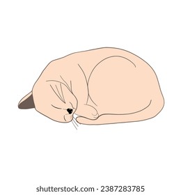 Cute sleeping cat. Sweet dreams. Lazy homeopet. Feline animals life. Hand drawn Isolated vector illustrations