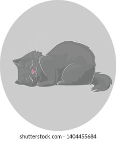 Cute sleeping fluffy gray cat