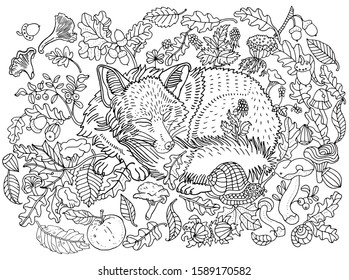 Cute sleeping fox among leaves, nuts, mushrooms, flowers and berries. Environment, nature, forest, meadow, plants. Anti stress coloring book page, postcard, hand drawn children's illustration.