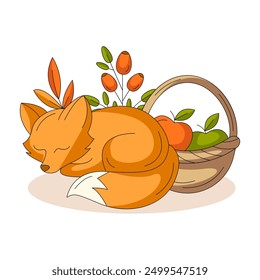 Lindo zorro durmiente, cesta con cosecha de manzanas, rosa mosqueta. Ilustración vectorial plana de otoño, composición de otoño. Animal salvaje del bosque. Para la tarjeta de felicitación, etiqueta engomada, impresión, postal, día de acción de gracias