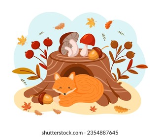 Cute sleeping fox near tree stump with wild mushrooms, acorns, rowan and autumn leaves. Illustration for children, autumn print, vector