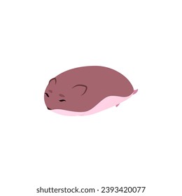 Cute sleeping hamster flat style, vector illustration isolated on white background. Decorative design element, little lying pet, resting domestic rodent animal