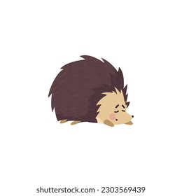 Cute sleeping hedgehog funny character flat cartoon vector illustration isolated on white background. Lovely adorable hedgehog for kids clothing prints and stickers.