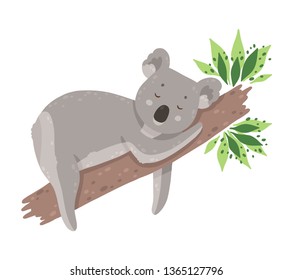 Cute sleeping koala isolated in white background. Elegant summer vector in trendy style. Can be used poster, greeting card, gift, banner, textile, T-shirt, mug.