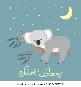 Cute sleeping koala on the tree. Sweet dreams vector illustration.