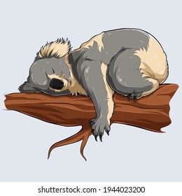 Cute sleeping koala in a tree branch illustrated with shadows and lights 