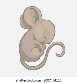 cute sleeping mouse, little rodent, the animal lies and rests, cartoon, stylized vector graphics
