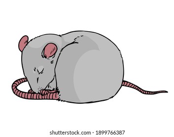 Cute sleeping mouse. Vector illustration on white background
