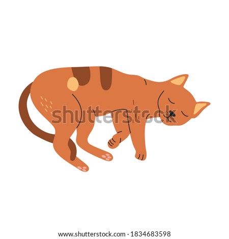 Cute sleeping orange cat, hand drawn vector illustration in cartoon style, isolated on white background.