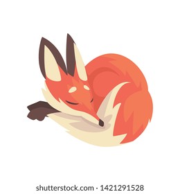 Cute Sleeping Red Fox Character Cartoon Vector Illustration