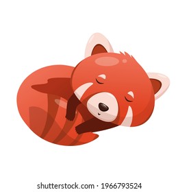 Un lindo panda rojo durmiendo. Ilustración infantil