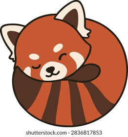 Cute sleeping red panda illustration curled in a circle