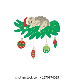 A cute sleeping sloth on a beautiful christmas branch. Nice santa hat and xmas balls. Vector illustration isolated on white background.  Great for cards, posters and xmas souvenir products.