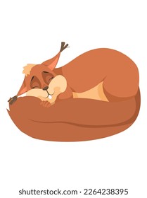 Cute sleeping squirrel flat cartoon vector isolated on white background. Funny forest animal rest illustration. Small rodent happing having sweet dreams icon