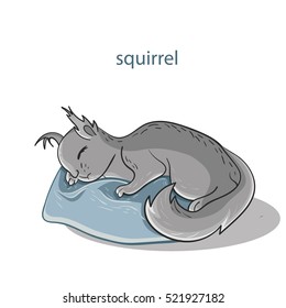 Cute sleeping squirrel. Sweet dreams. Vector illustration isolated on white background.