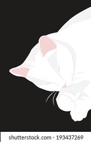 Cute sleeping white cat with a pink nose