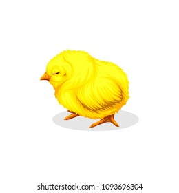 so cute! sleepy chick vector isolated on white background