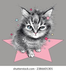 Cute and sleepy little kitten with stars. Realistic drawing of a cat. Stylish image for printing on any surface