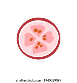 Cute sliced lingonberry isolated on transparent background. Colorful pictogram original design. Can be used for infographics, identity or decoration. Vector shabby hand drawn illustration