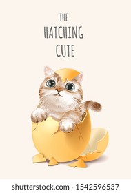 cute slogan with cute cat hatching illustration