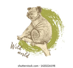 Cute sloth bear on the tree hand drawn vector illustration in white background for textile and ads. Adorable wild animal 